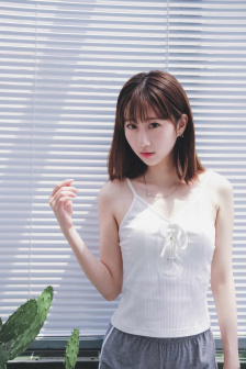 燕双鹰